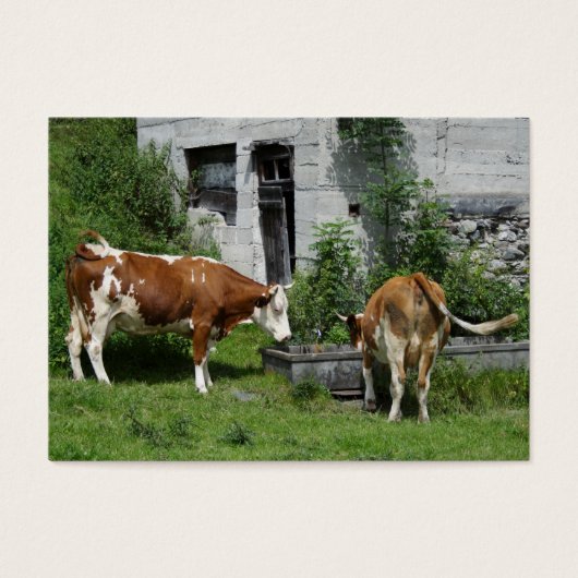 Thirsty Fleckvieh Visitekaartje (Voorkant)