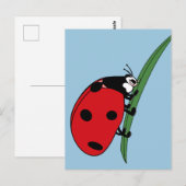 Thirsty Ladybug Briefkaart (Voorkant / Achterkant)