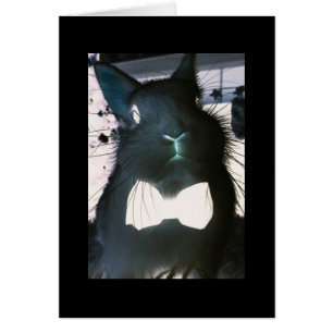 THIS CRAZY BUNNY MEANS "BUSINESS" **HAPPY EASTER**