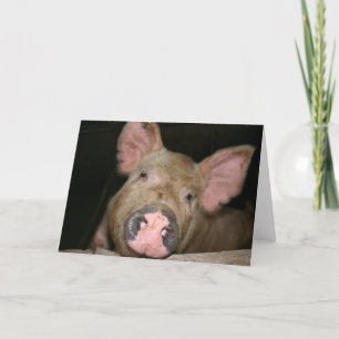 This Little Piggy zegt Beterschap Kaart