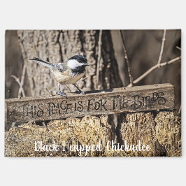 This place is for the birds magnet magneet