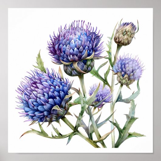 Thistart Print, Poster Fleur sauvage (Devant)