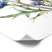 Thistle Art Print, Wildflower Poster (Hoek)