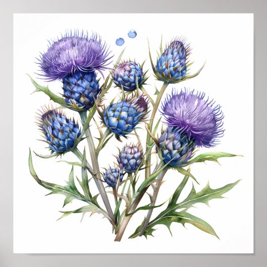 Thistle Art Print, Wildflower Poster (Voorkant)