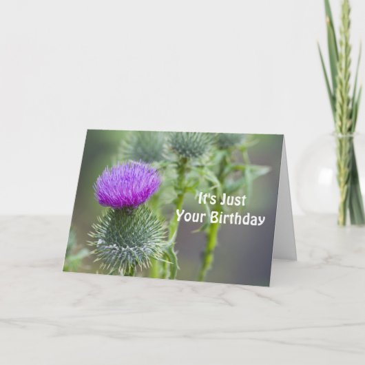 Thistle Birthday Kaart (Voorkant)