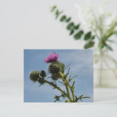 Thistle Briefkaart (Staand voorkant)