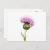 Thistle Briefkaart (Voorkant / Achterkant)