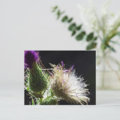 Thistle briefkaart (Staand voorkant)