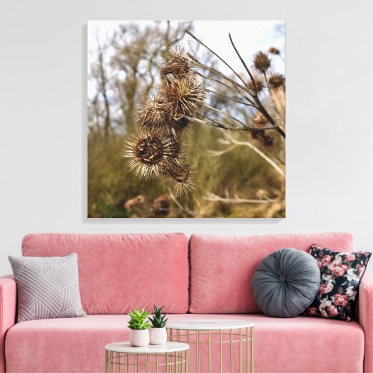 Thistle Canvas Afdruk (Insitu (Woonkamer))