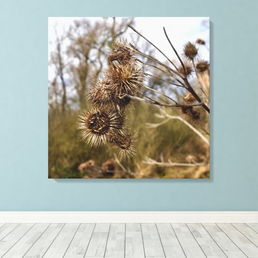 Thistle Canvas Afdruk (Insitu (Houten vloer))