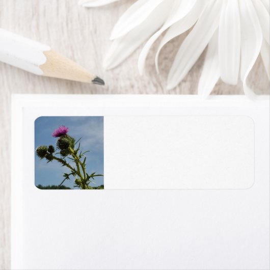 Thistle Etiket (Insitu)