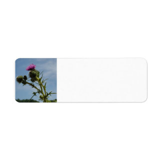 Thistle Etiket