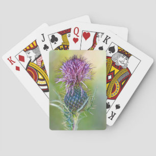 Thistle Flower Kaart
