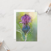 Thistle Flower Kaart (Voorkant / Achterkant in situ)