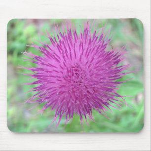 Thistle Flower Muismat