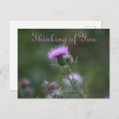 Thistle Flowers Denken aan jou Briefkaart (Voorkant / Achterkant)