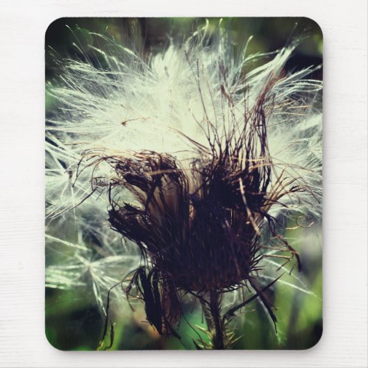 Thistle Fluff Flower Natuur Muismat (Voorkant)