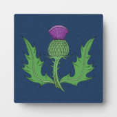 Thistle Fotoplaat (Voorkant)