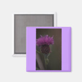 Thistle Magneet (Voorkant / Achterkant)