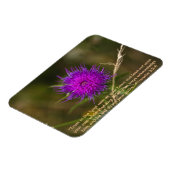 Thistle Magnet w / Schrift vers Magneet (Linkerzijde)