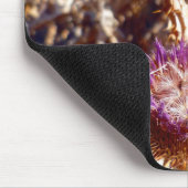 Thistle Muismat (Hoek)