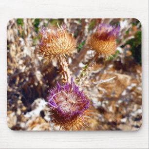 Thistle Muismat
