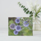 Thistle - Opstaan van de Kroon Briefkaart (Staand voorkant)