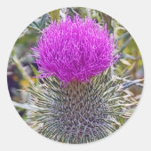 Thistle Plant Sticker (Voorkant)