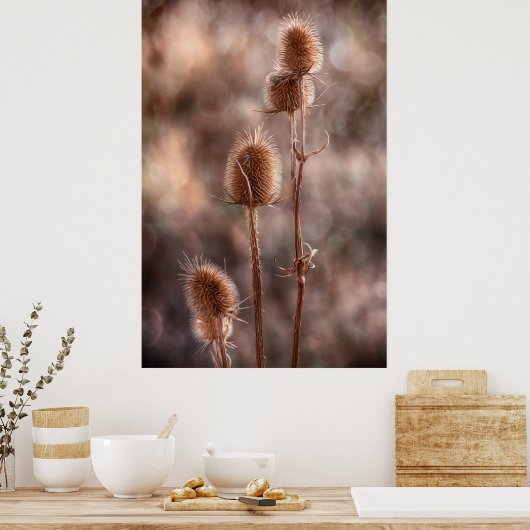 Thistle Poster (Keuken)