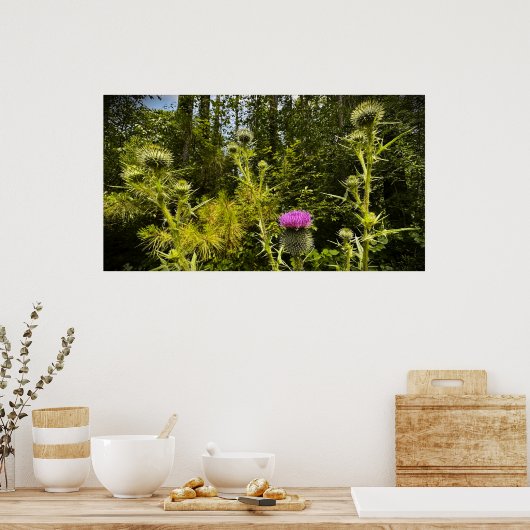 Thistle Poster (Keuken)