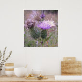 Thistle Poster (Keuken)