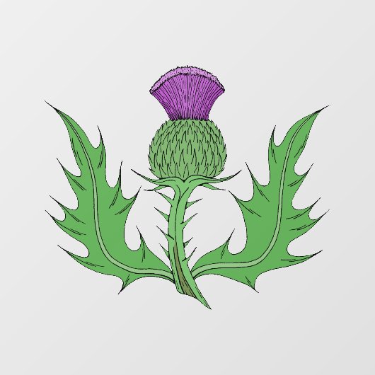 Thistle Raamsticker (Vel)