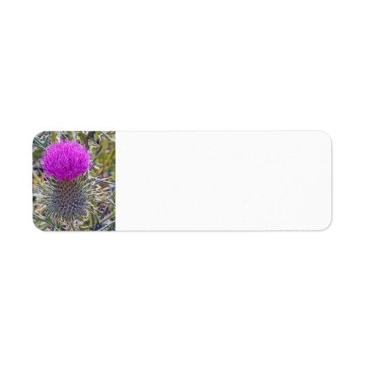 Thistle Return Address Label (Voorkant)