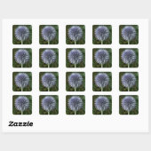 Thistle Stickers (Vel)