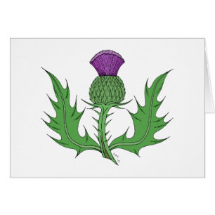 Thistle Wenskaart