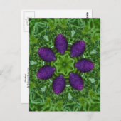 Thistles Briefkaart (Voorkant / Achterkant)