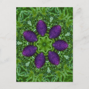 Thistles Briefkaart