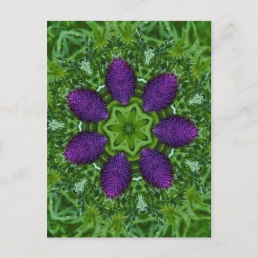 Thistles Briefkaart (Voorkant)