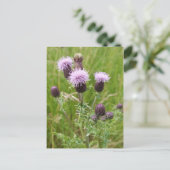 Thistles Briefkaart (Staand voorkant)