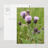 Thistles Briefkaart (Voorkant / Achterkant)