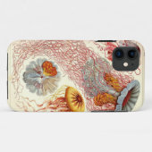  Thleyfish iPhone 5 Hoesje (Achterkant (horizontaal))