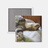 Thomas aimant relaxant (Recto/Verso)