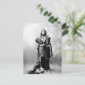 Thomas American Horse Briefkaart (Staand voorkant)