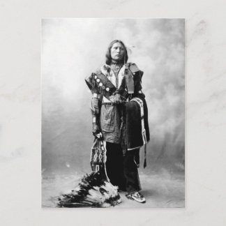 Thomas American Horse Briefkaart