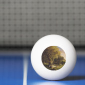 Thomas Cole de PIC-NIC Pingpongballen (Net)