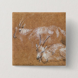 Thomas Gainsborough Studie van geiten (tekening) Vierkante Button 5,1 Cm