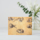 Thomas Gainsborough. Zes studies bij een kat Briefkaart (Staand voorkant)