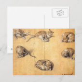 Thomas Gainsborough. Zes studies bij een kat Briefkaart (Voorkant / Achterkant)