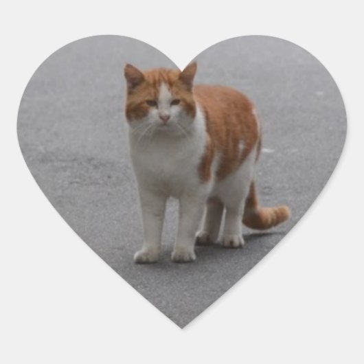 Thomas Ginger en White Cat Hart Sticker (Voorkant)