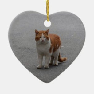 Thomas Ginger en White Cat Keramisch Ornament